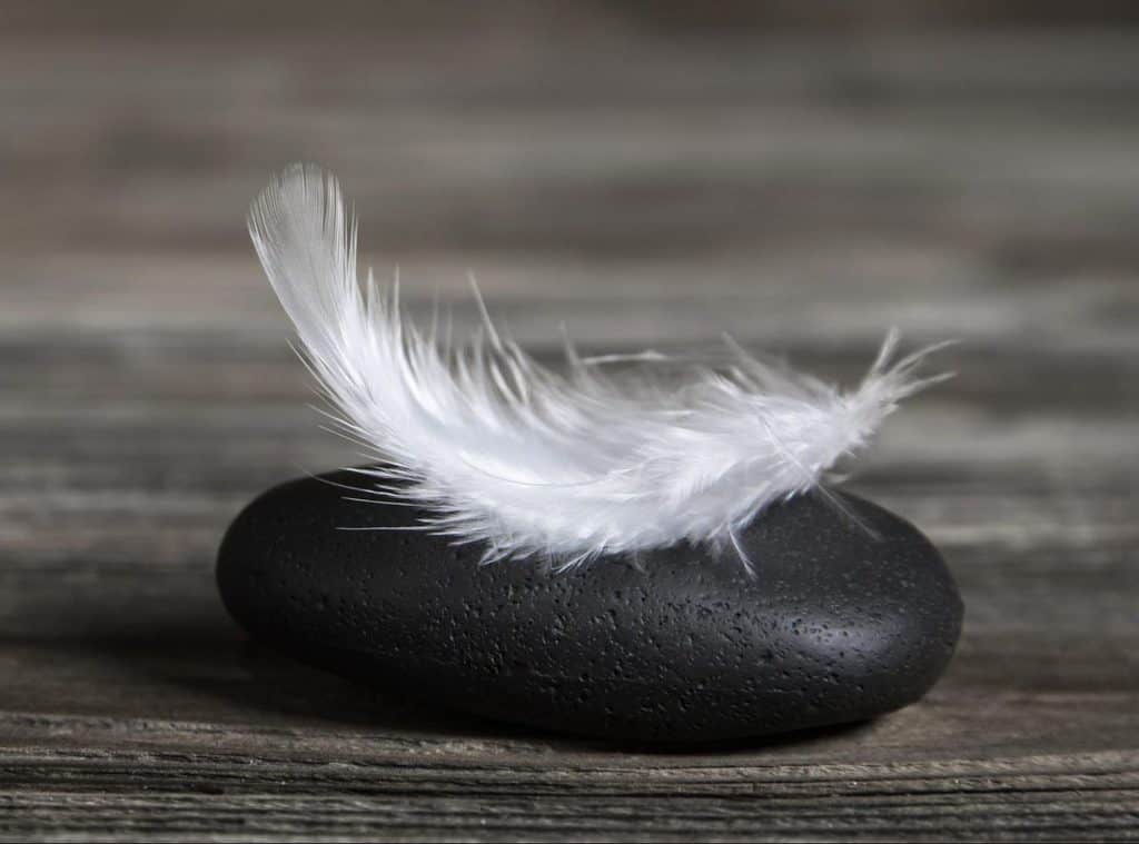 What does a white feather mean? • Before I Go Solutions %
